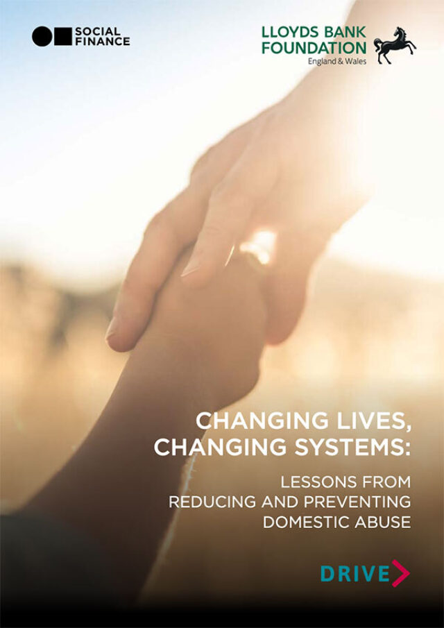 Preview of the PDF titled Lessons from reducing and preventing domestic abuse
